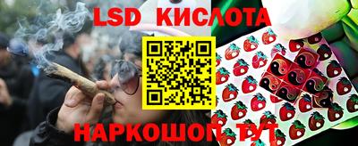 apvp Рыбинск
