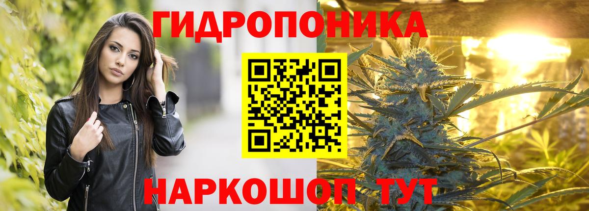 Конопля Обнинск